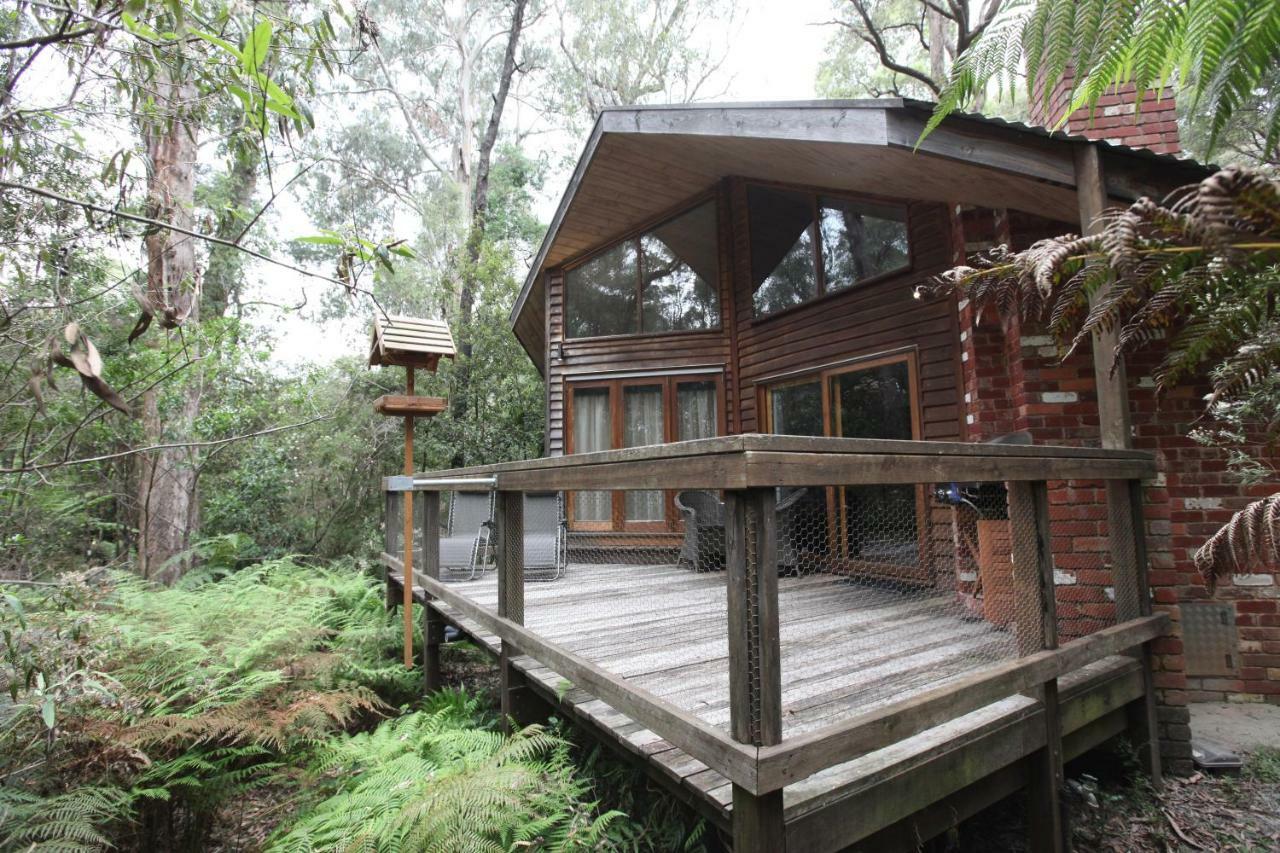 Villa Woodlands Rainforest Retreat Narbethong Exterior foto